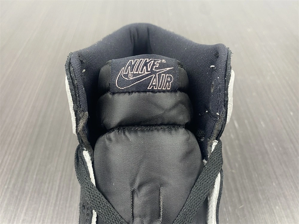 Air Jordan 1  575441-108