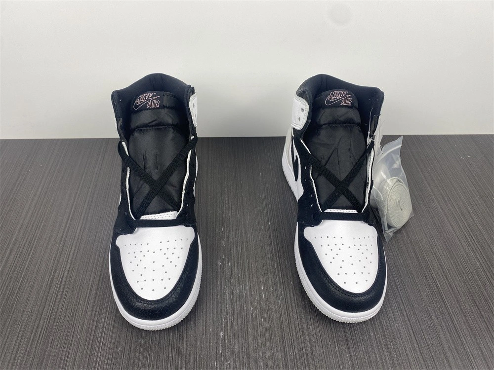 Air Jordan 1  575441-108