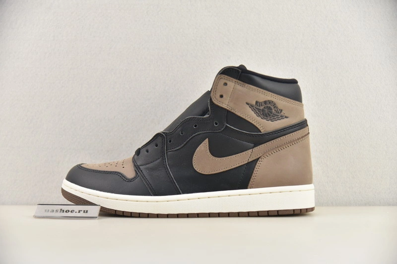 Air Jordan 1 High OG "Palomino" DZ5485-020