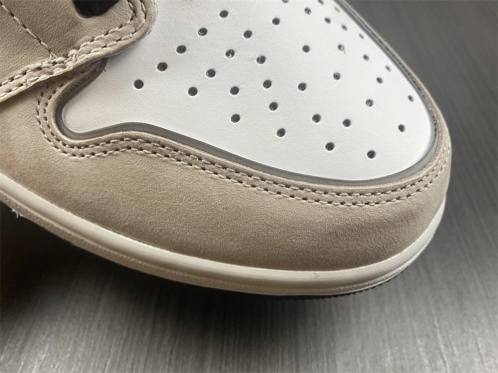 Air Jordan 1 High OG Prototype DC6515-100