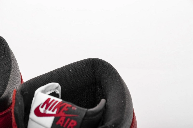 Air Jordan 1 Retro High Homage To Home 861428-061