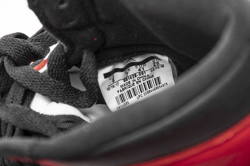 Air Jordan 1 Retro High Homage To Home 861428-061