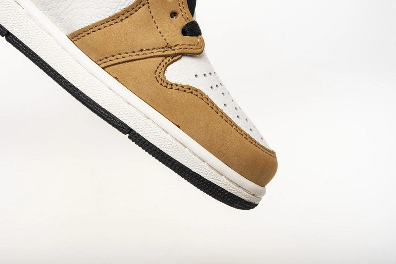 Air Jordan 1 Rookie of the Year 555088-700