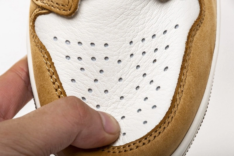 Air Jordan 1 Rookie of the Year 555088-700