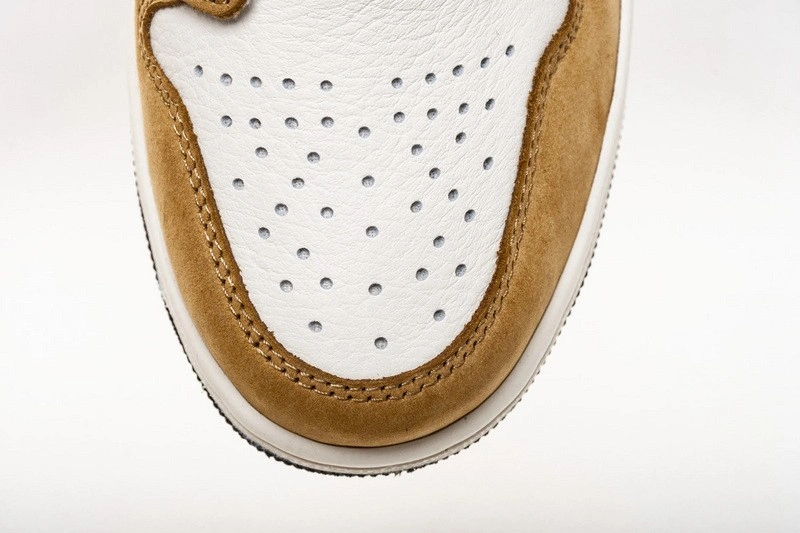 Air Jordan 1 Rookie of the Year 555088-700