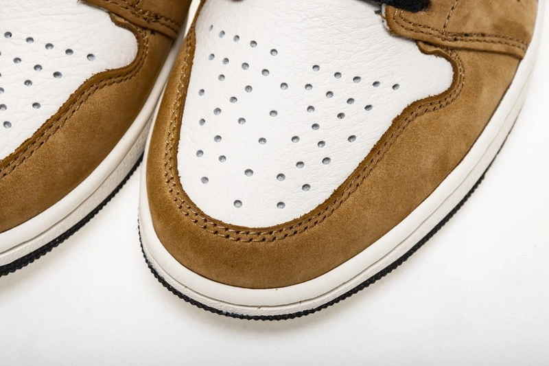 Air Jordan 1 Rookie of the Year 555088-700