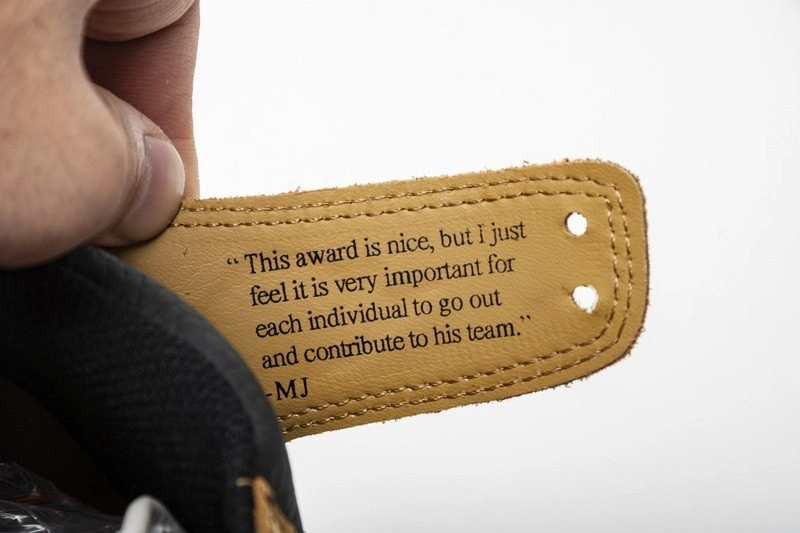 Air Jordan 1 Rookie of the Year 555088-700