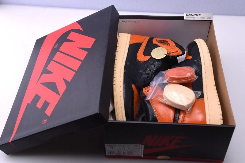 Air Jordan 1 Shattered Backboard 3.0 555088-028