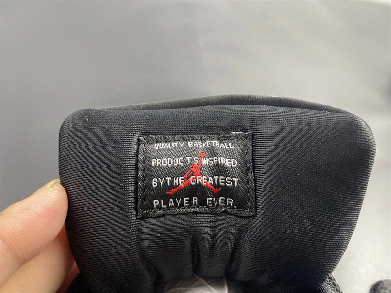 Air Jordan 11 Animal Instinct AR0715-010
