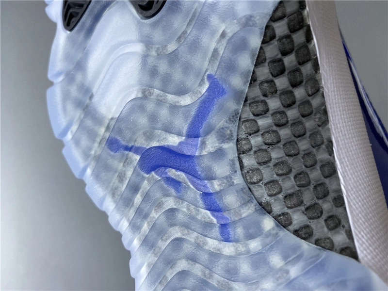 Air Jordan 11 Low WMNS “Concord”  AH7860-100