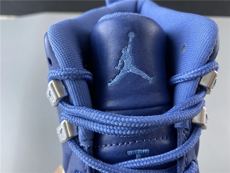 Air Jordan 12 130690-404