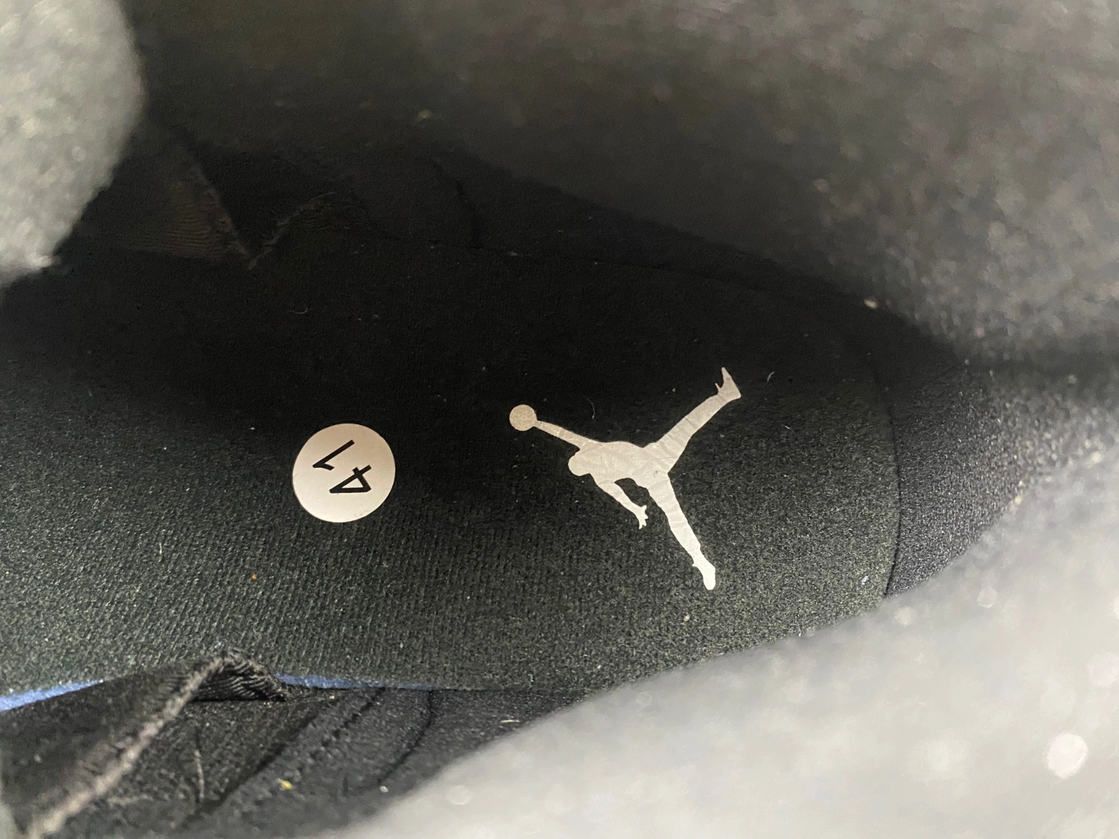 Air Jordan 12 Black Wolf Grey CT8013-019
