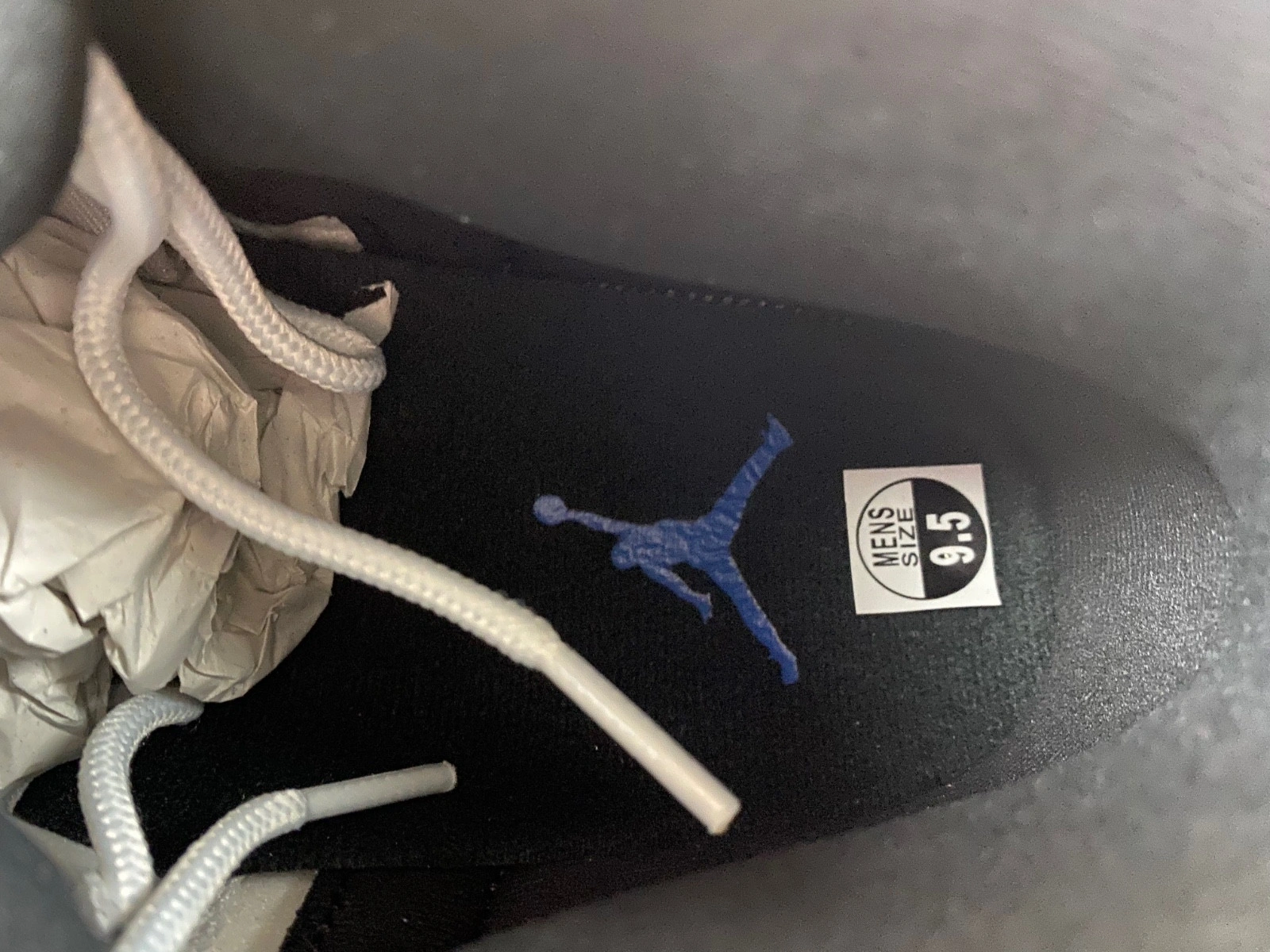 Air Jordan 12 
