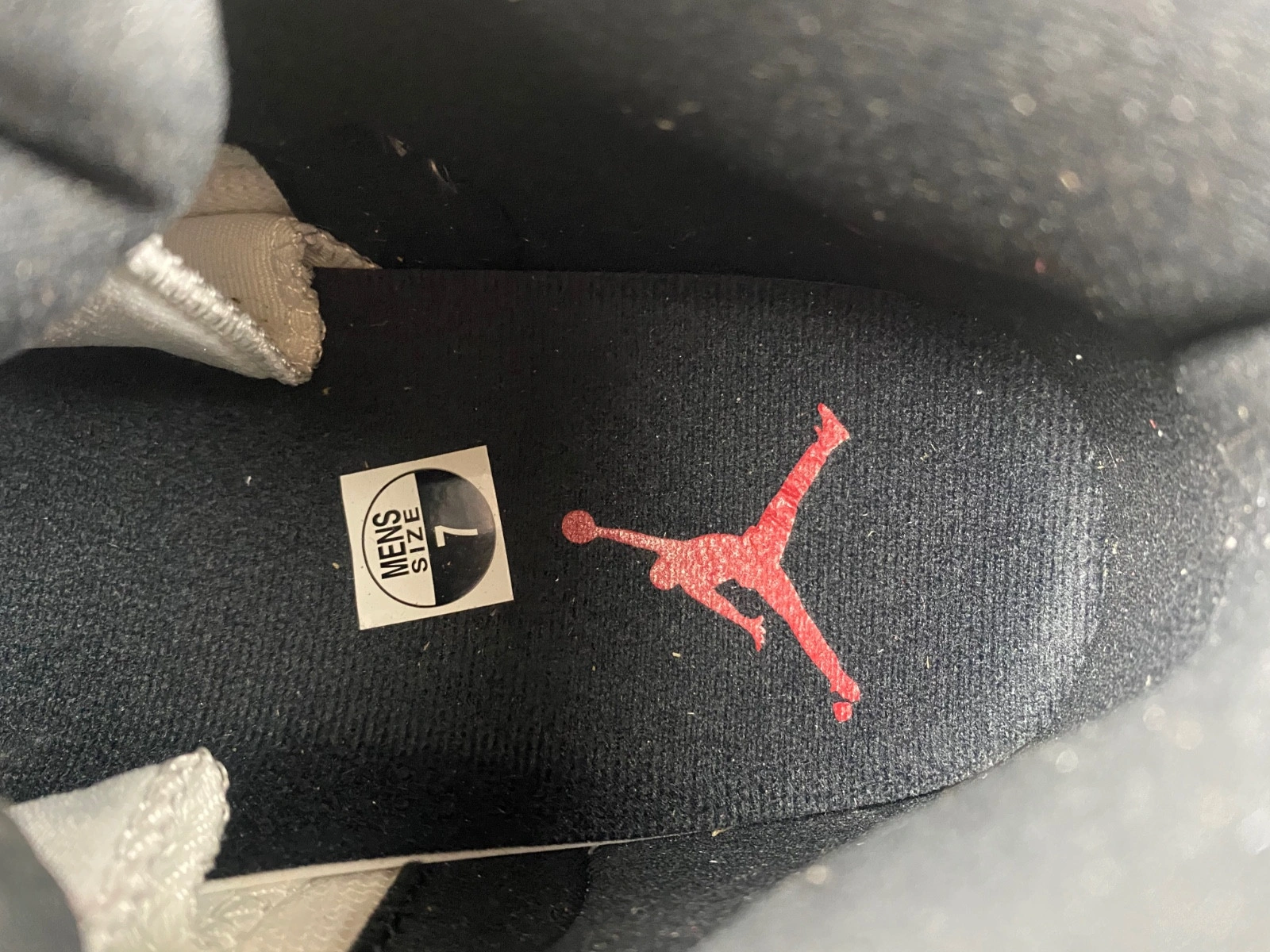 Air Jordan 12 Cherry CT8013-116