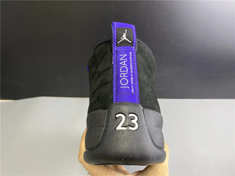 Air Jordan 12 “Dark Concord”  CT8013-005