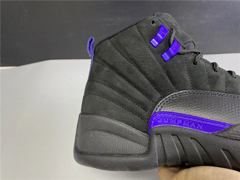 Air Jordan 12 “Dark Concord”  CT8013-005