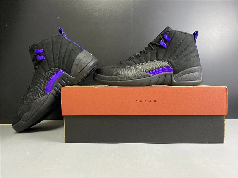 Air Jordan 12 “Dark Concord”  CT8013-005