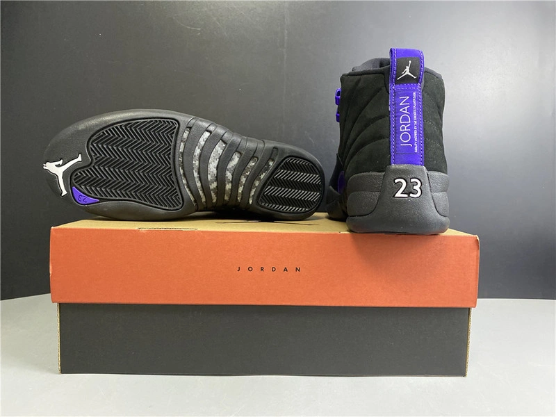 Air Jordan 12 “Dark Concord”  CT8013-005
