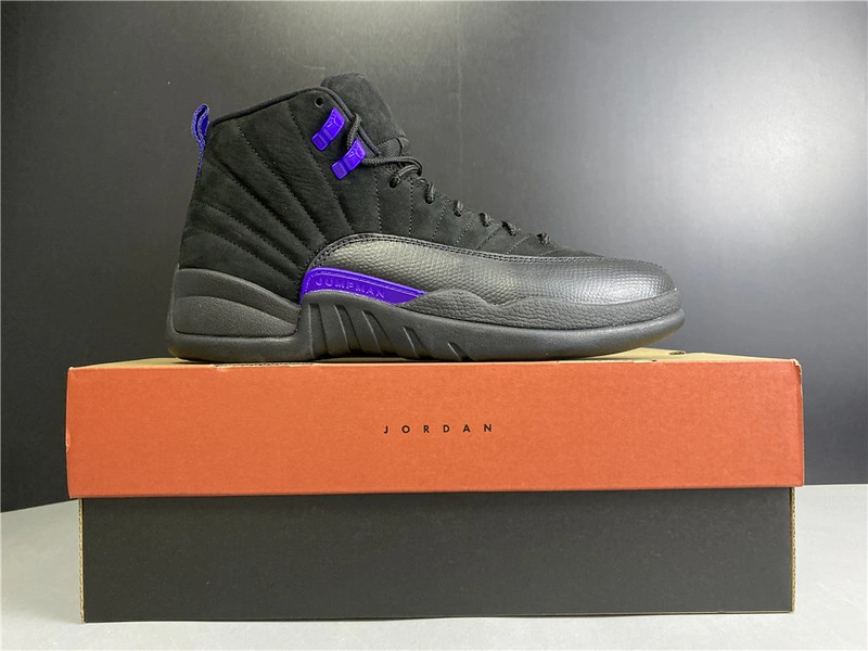 Air Jordan 12 “Dark Concord”  CT8013-005