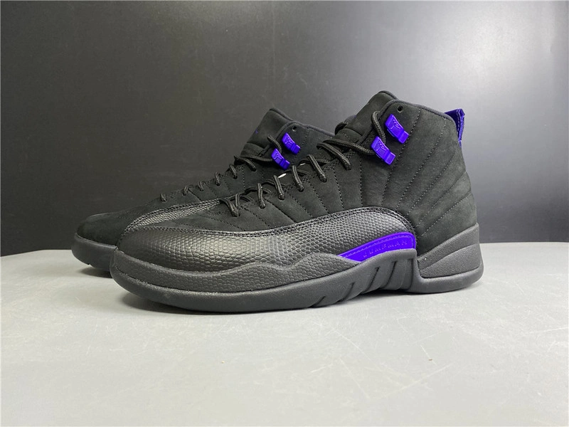 Air Jordan 12 “Dark Concord”  CT8013-005