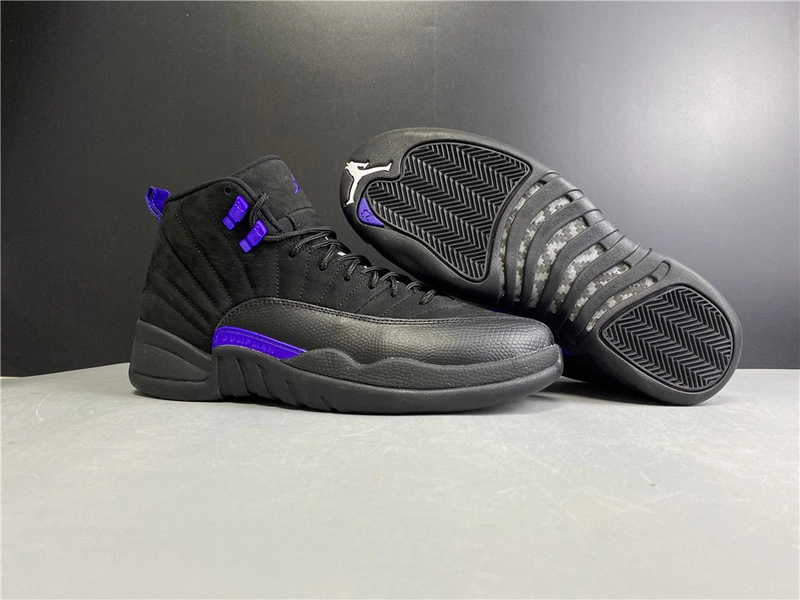Air Jordan 12 “Dark Concord”  CT8013-005
