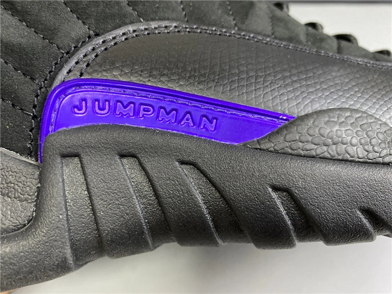 Air Jordan 12 “Dark Concord”  CT8013-005