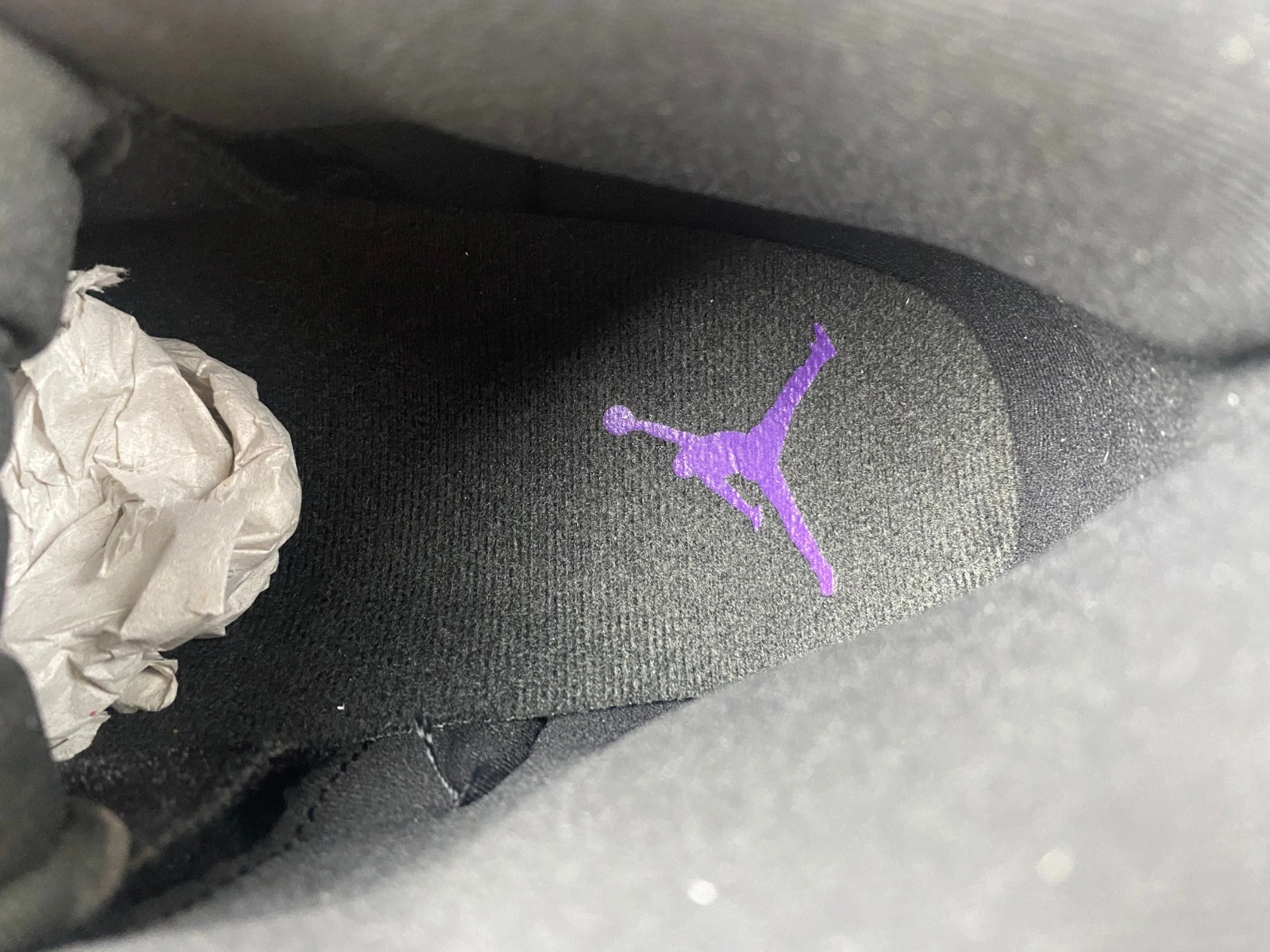 Air Jordan 12 Field Purple CT8013-057