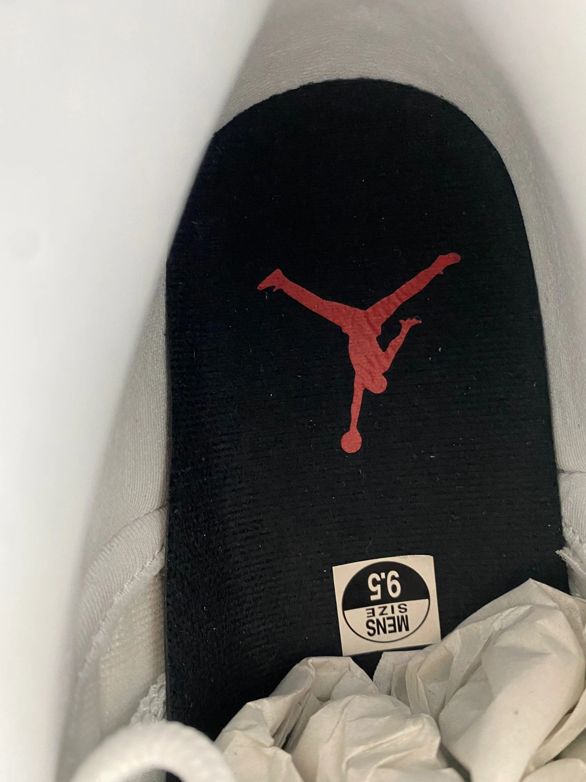 Air Jordan 12 Red Taxi CT8013-162