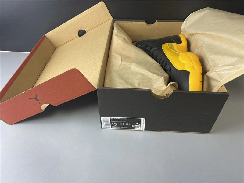 Air Jordan 12 “University Gold”  130690-070