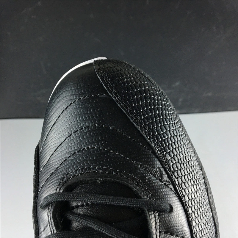Air Jordan 12 WMNS  Wings  AO6068-007
