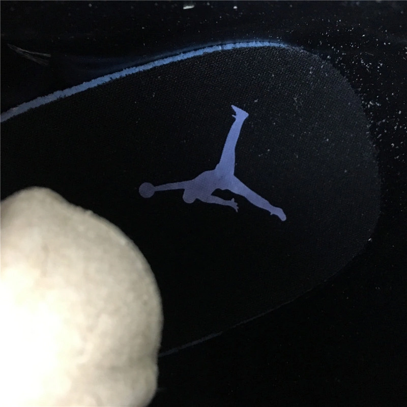 Air Jordan 12 WMNS  Wings  AO6068-007