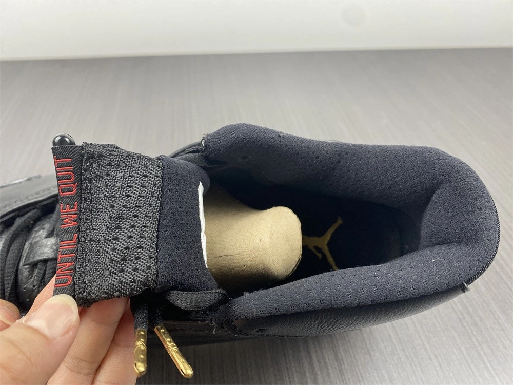 Air Jordan 14 Defining Moments DMP  487471-022