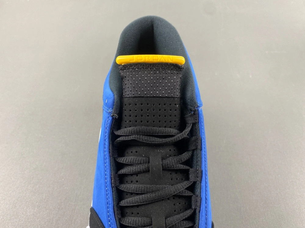 Air Jordan 14 Laney 487471-407