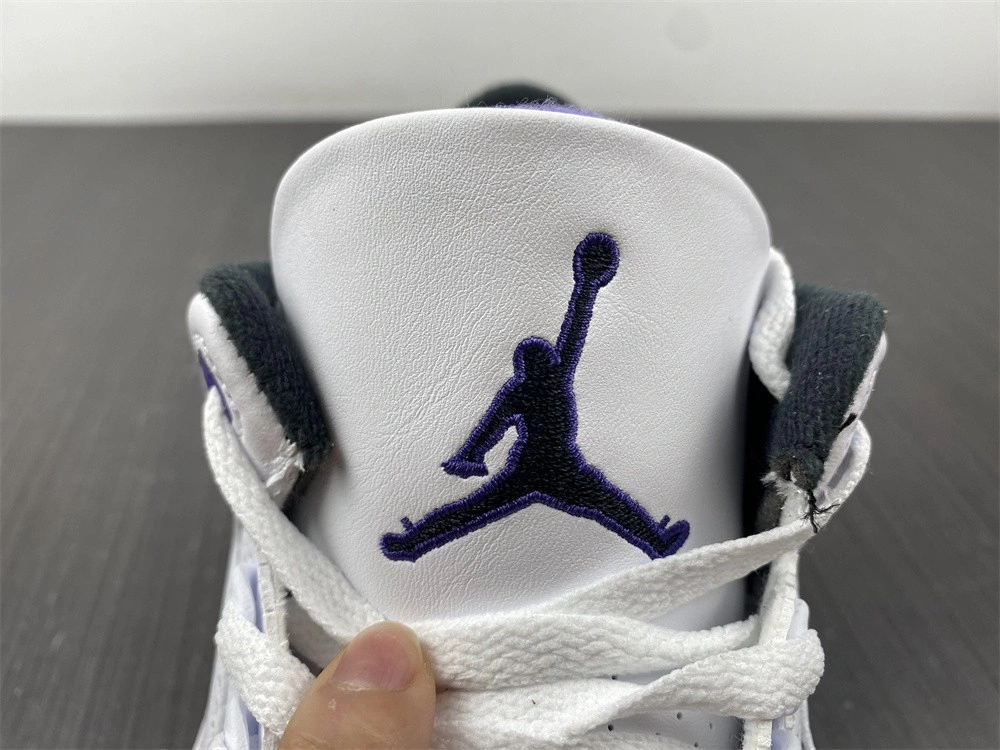 Air Jordan 3 Dark Iris CT8532-105