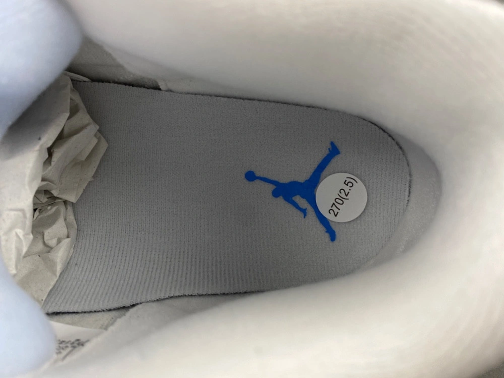 Air Jordan 3 