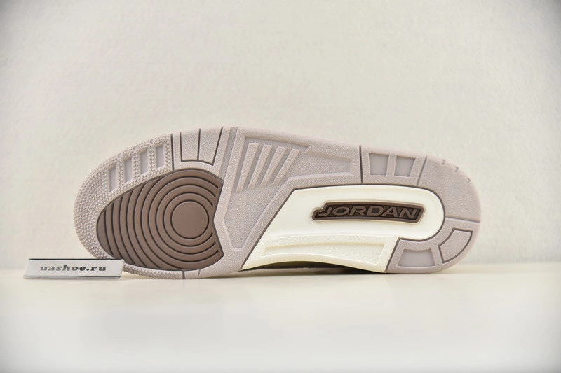 Air Jordan 3 Palomino CT8532-102