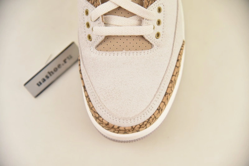Air Jordan 3 Palomino CT8532-102
