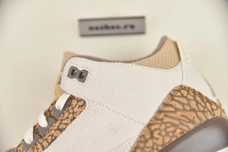 Air Jordan 3 Palomino CT8532-102