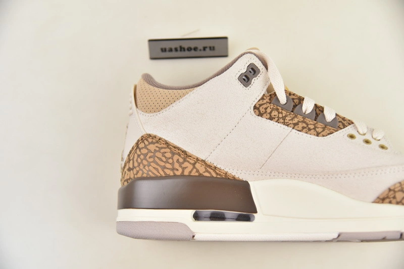 Air Jordan 3 Palomino CT8532-102