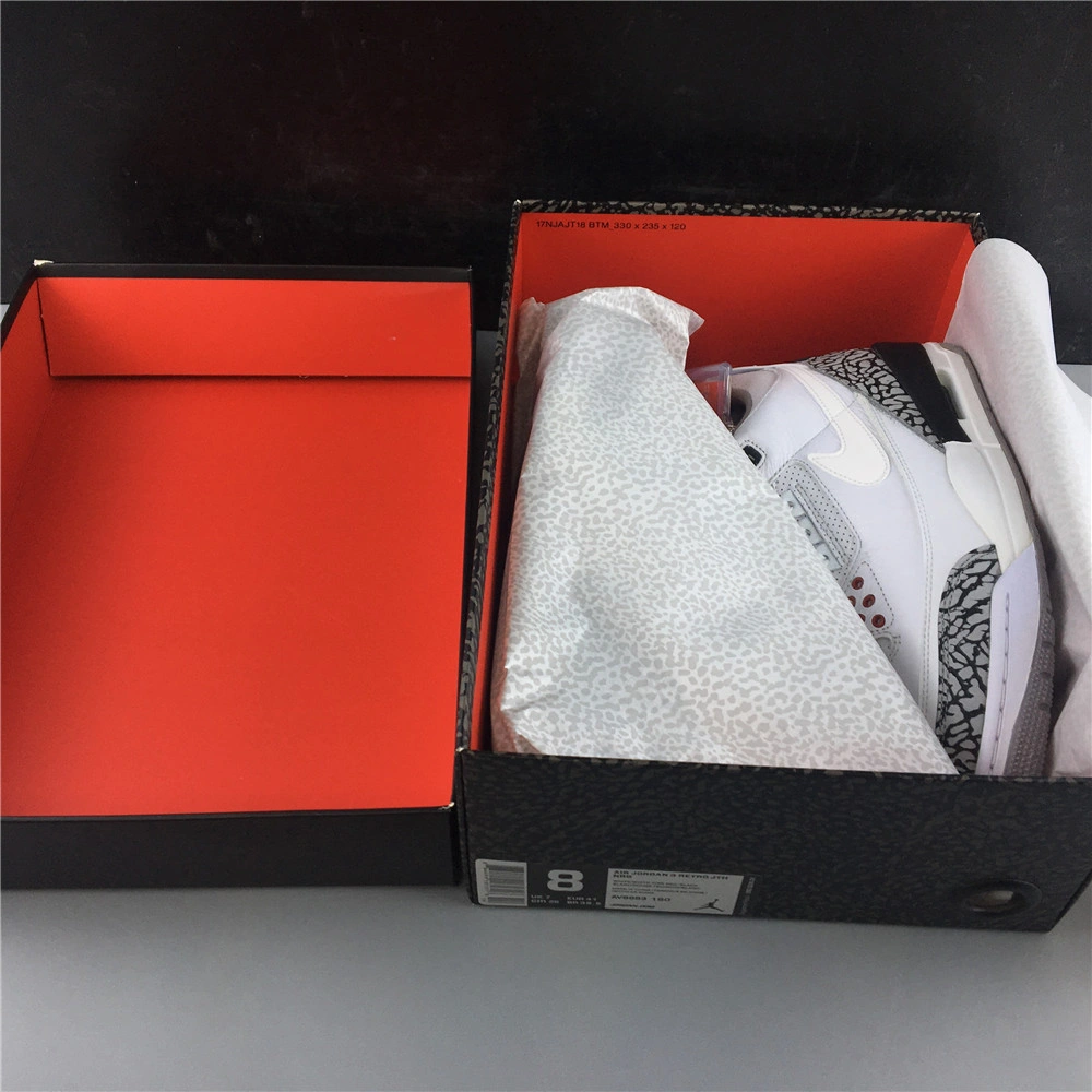 Air Jordan 3 RETRO JTHNRG  AV6683-160