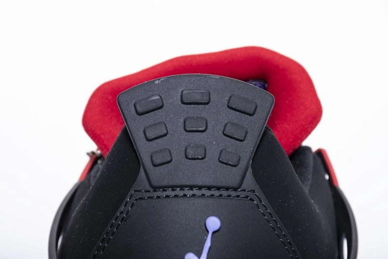 Air Jordan 4 Raptors AQ3816-056