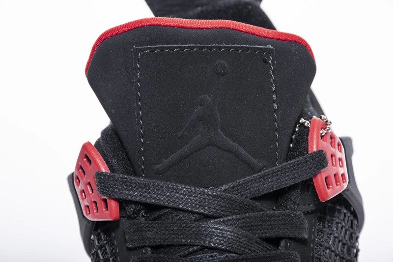 Air Jordan 4 Raptors AQ3816-056