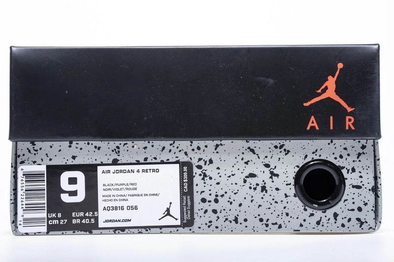 Air Jordan 4 Raptors AQ3816-056