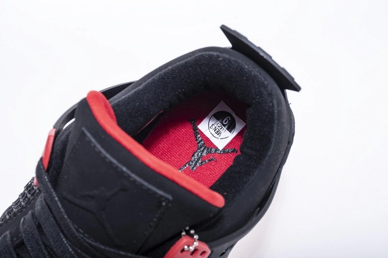 Air Jordan 4 Raptors AQ3816-056