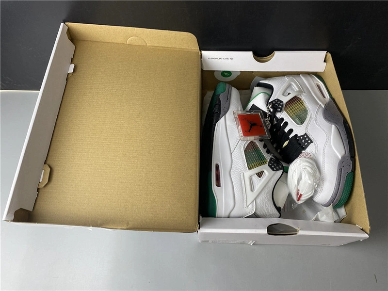 Air Jordan 4 WMNS “Do The Right Thing”  AQ9129-100