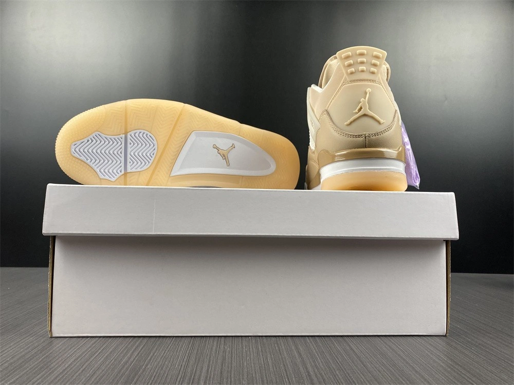 Air Jordan 4 WMNS Shimmer DJ0675-200