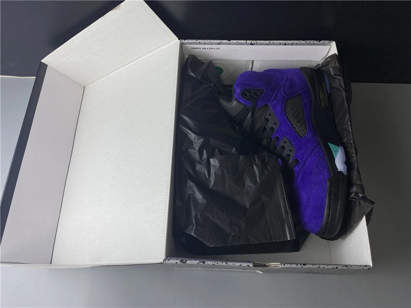 Air Jordan 5 “Alternate Grape”  136027-500