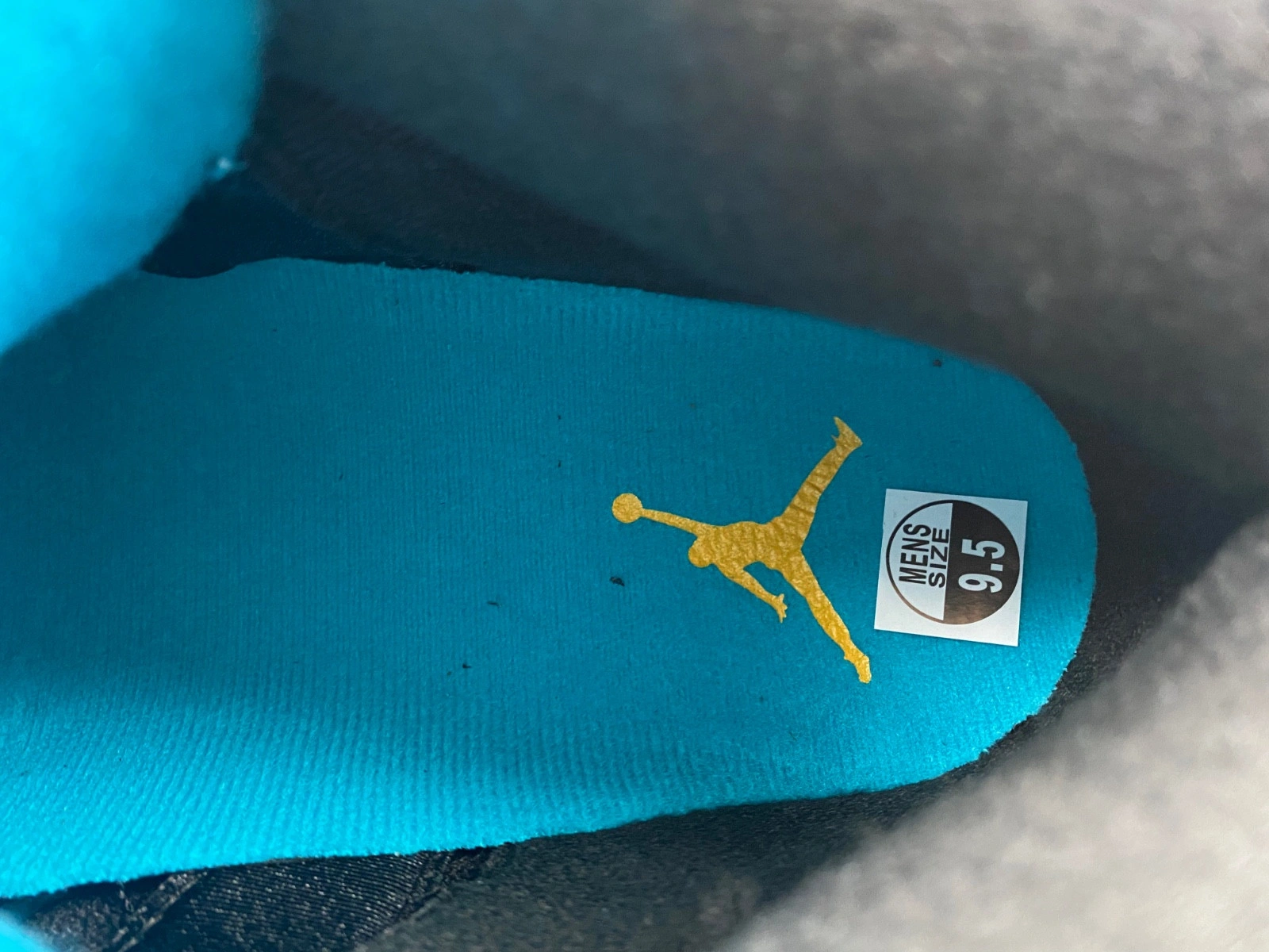 Air Jordan 5 