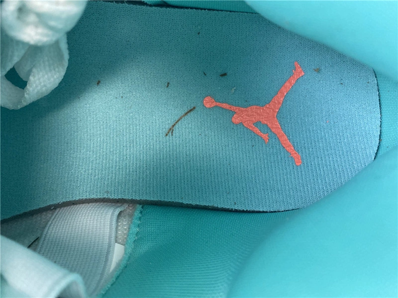 Air Jordan 5 GS “Light Aqua”  440892-100
