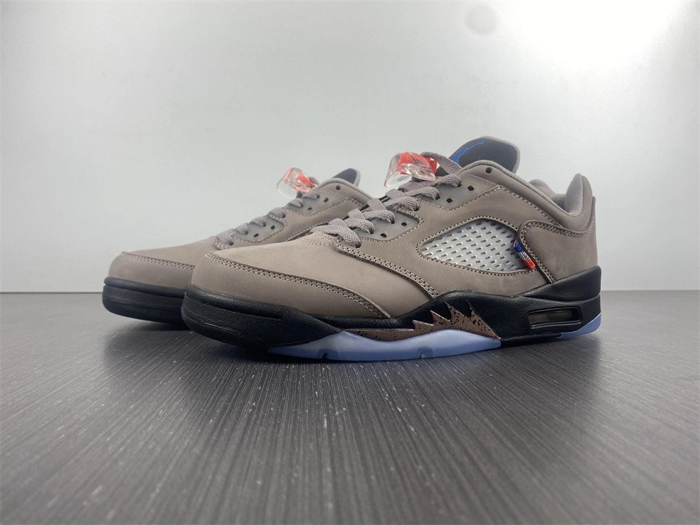 Air Jordan 5 Low PSG DX6325-204